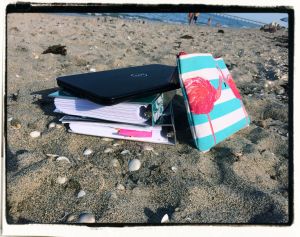 My beach writing this summer: 2 novel manuscripts in print, laptop and a pair of flamingos guarding editing supplies.